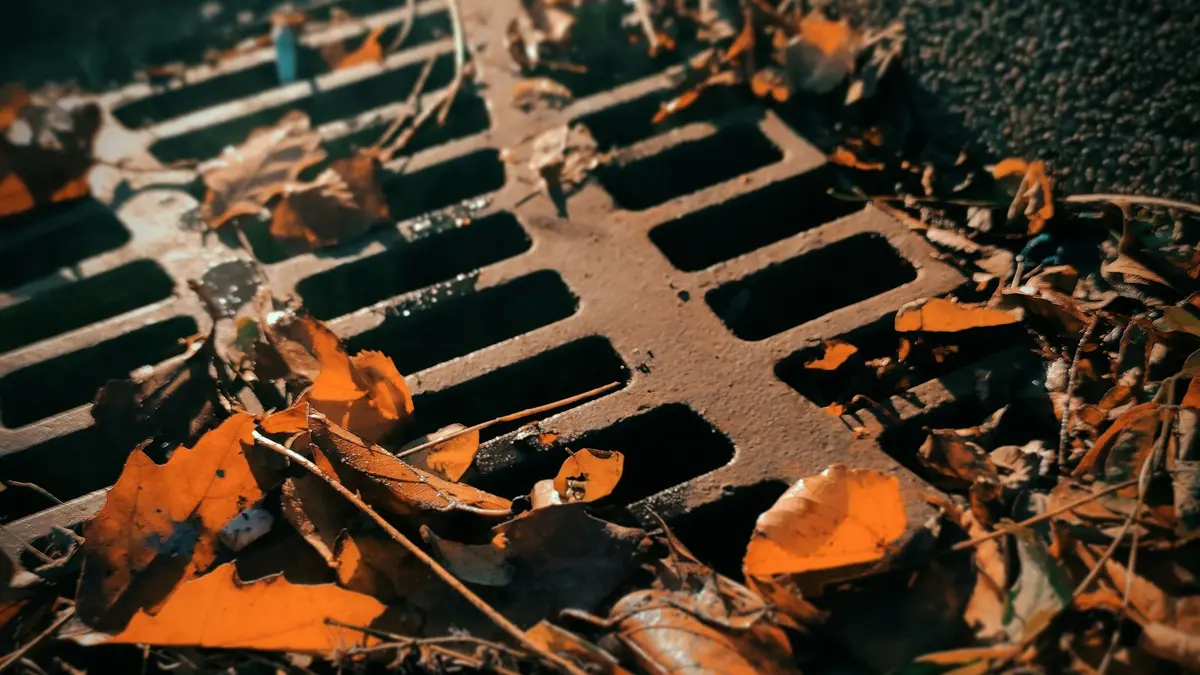 Autumn leaves lying on a metal street drain grate