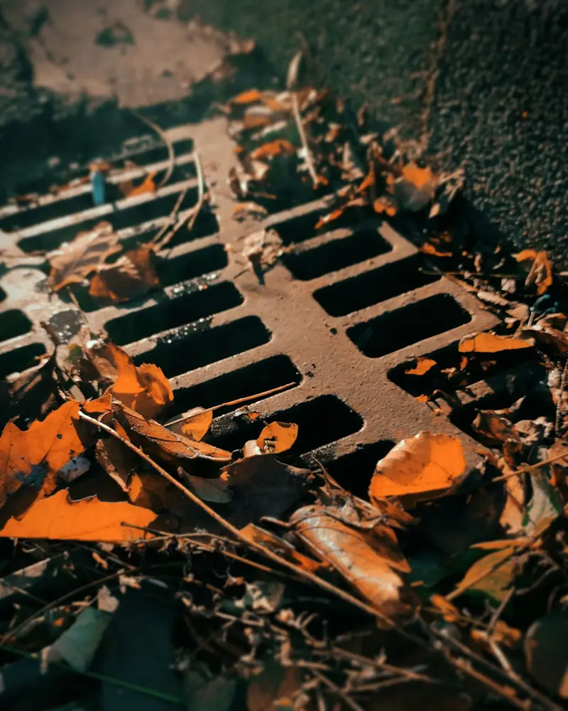 Drain Unblocking detail